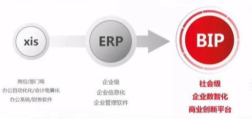 未及十年，云ERP已过时 信息服务引领企业数字化新浪潮