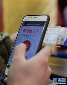 电商服务与信息服务双翼齐飞，助推西藏阿里牧区特色产品走向广阔市场